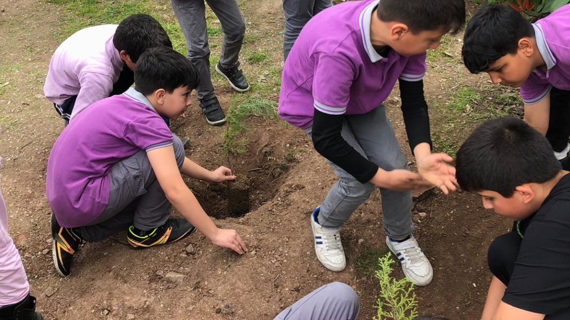 Efendimiz, “Kıyamet kopsa bile, o zaman elinizde bir fidan bulunuyorsa ve onu dikmek için de bir engel yoksa derhal o fidanı dikin.” buyuruyor.